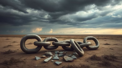 دروس مستفادة، فشل الاندماج